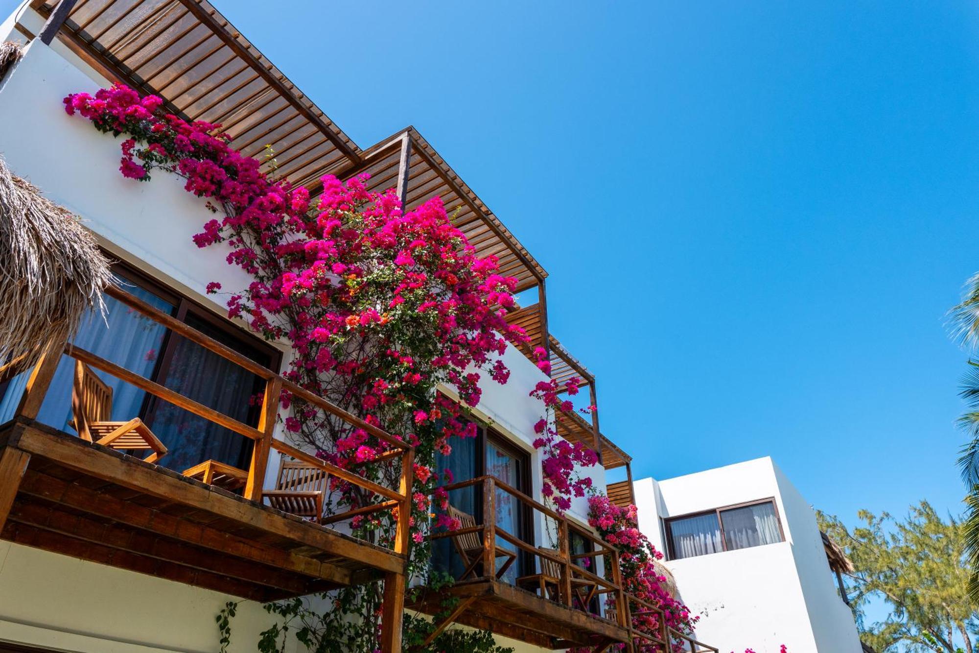 My Blue Hotel Holbox Exterior foto